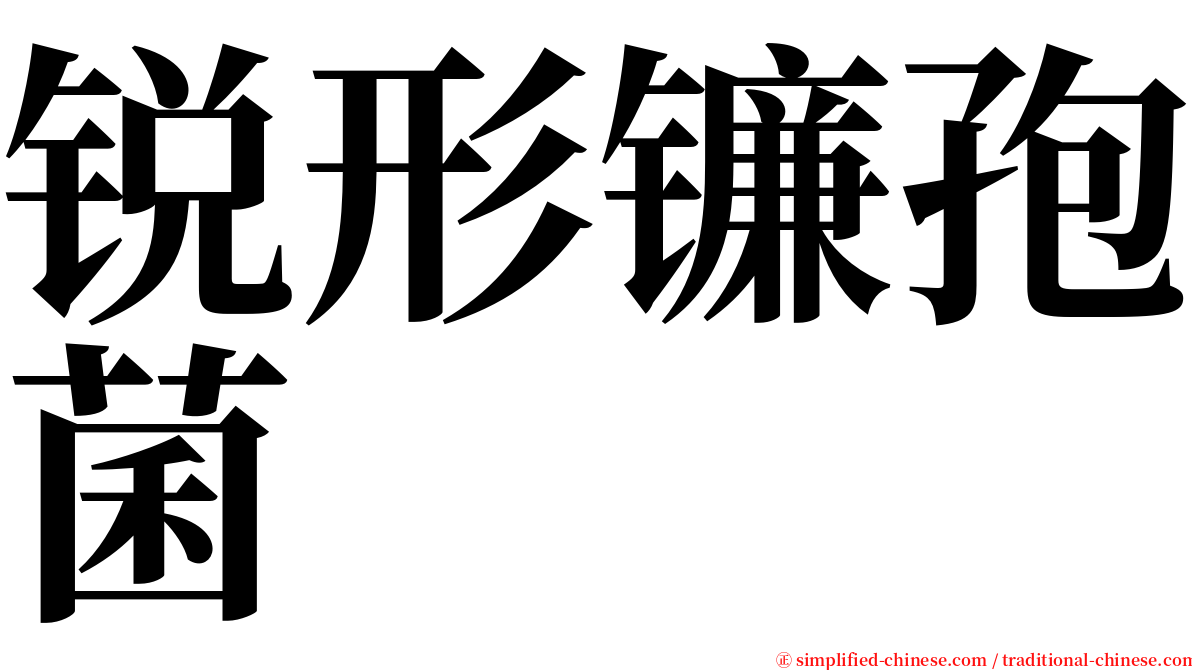 锐形镰孢菌 serif font