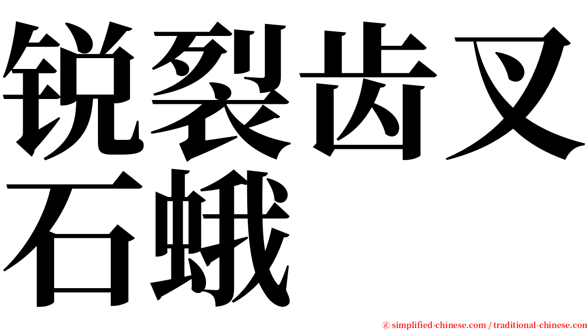 锐裂齿叉石蛾 serif font