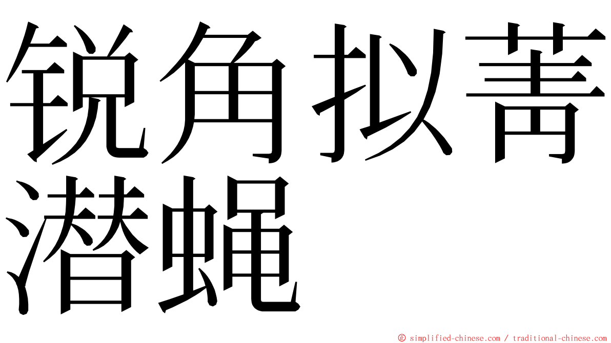 锐角拟菁潜蝇 ming font