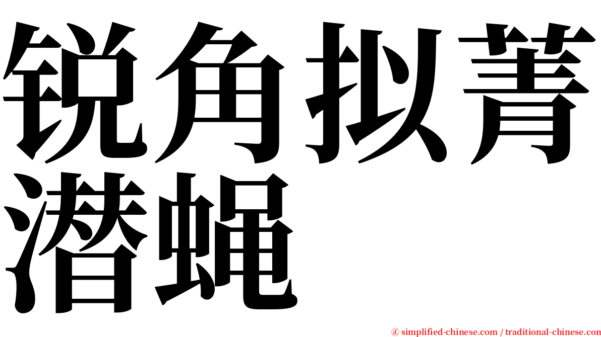 锐角拟菁潜蝇 serif font