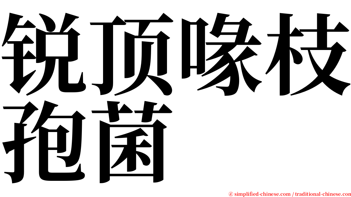 锐顶喙枝孢菌 serif font