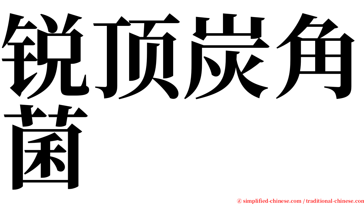 锐顶炭角菌 serif font