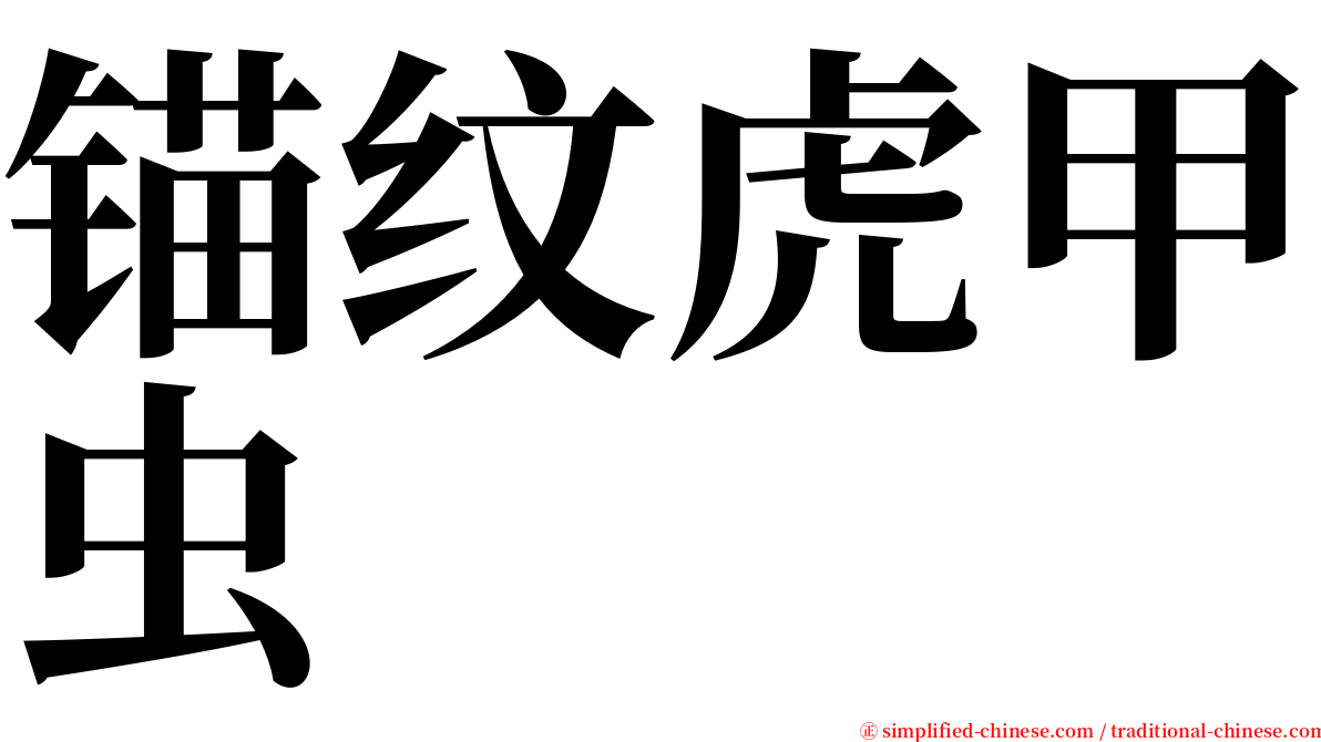 锚纹虎甲虫 serif font