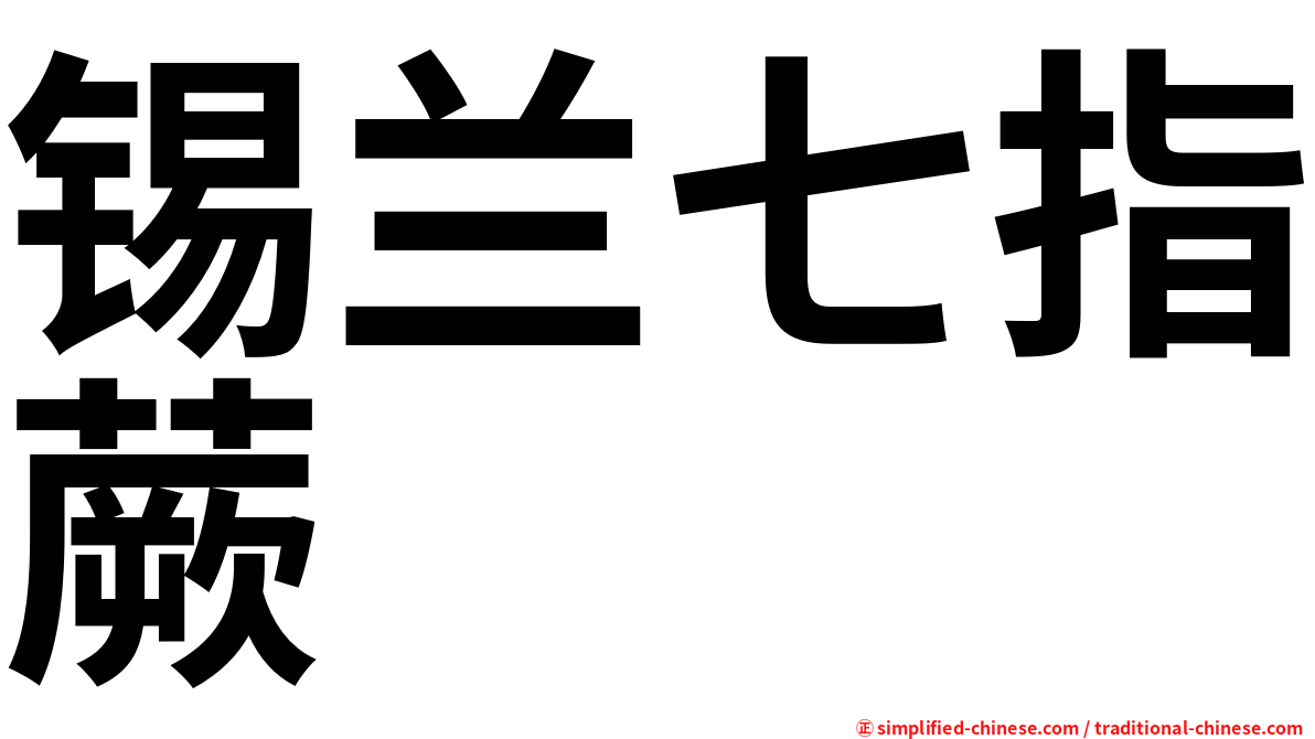 锡兰七指蕨