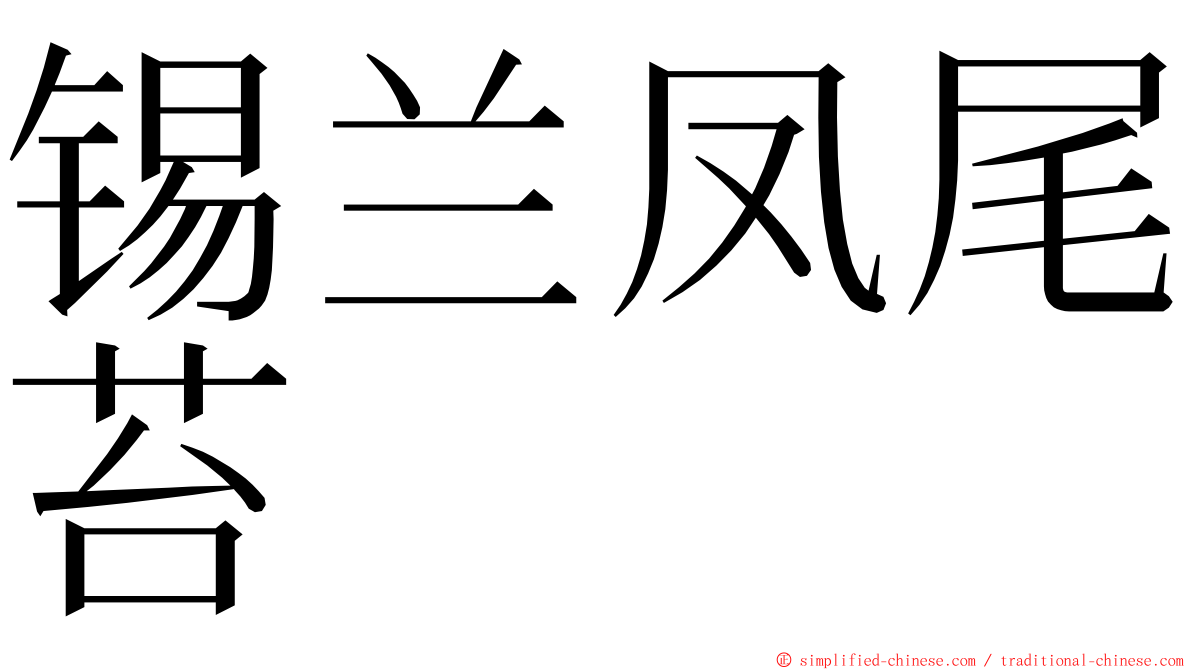 锡兰凤尾苔 ming font