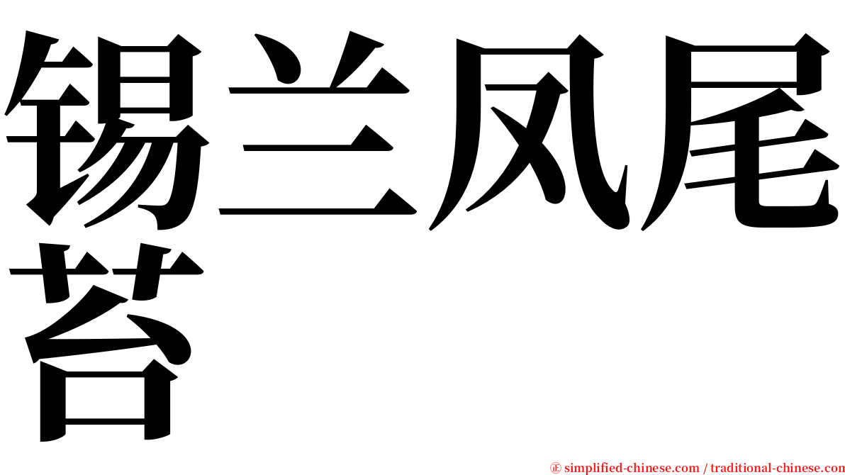 锡兰凤尾苔 serif font