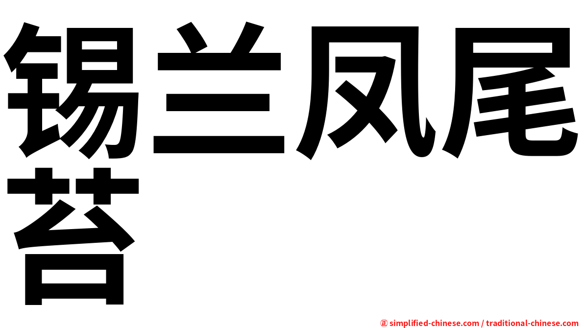 锡兰凤尾苔