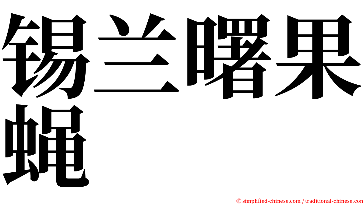 锡兰曙果蝇 serif font