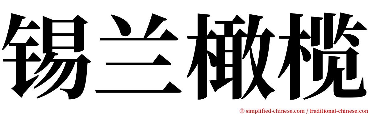 锡兰橄榄 serif font