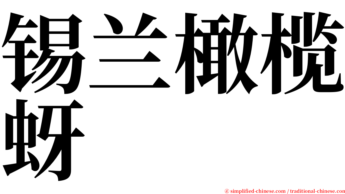 锡兰橄榄蚜 serif font