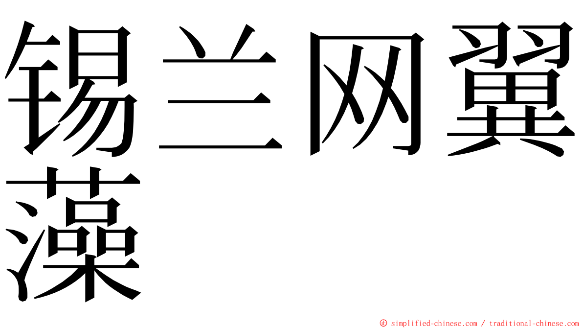 锡兰网翼藻 ming font