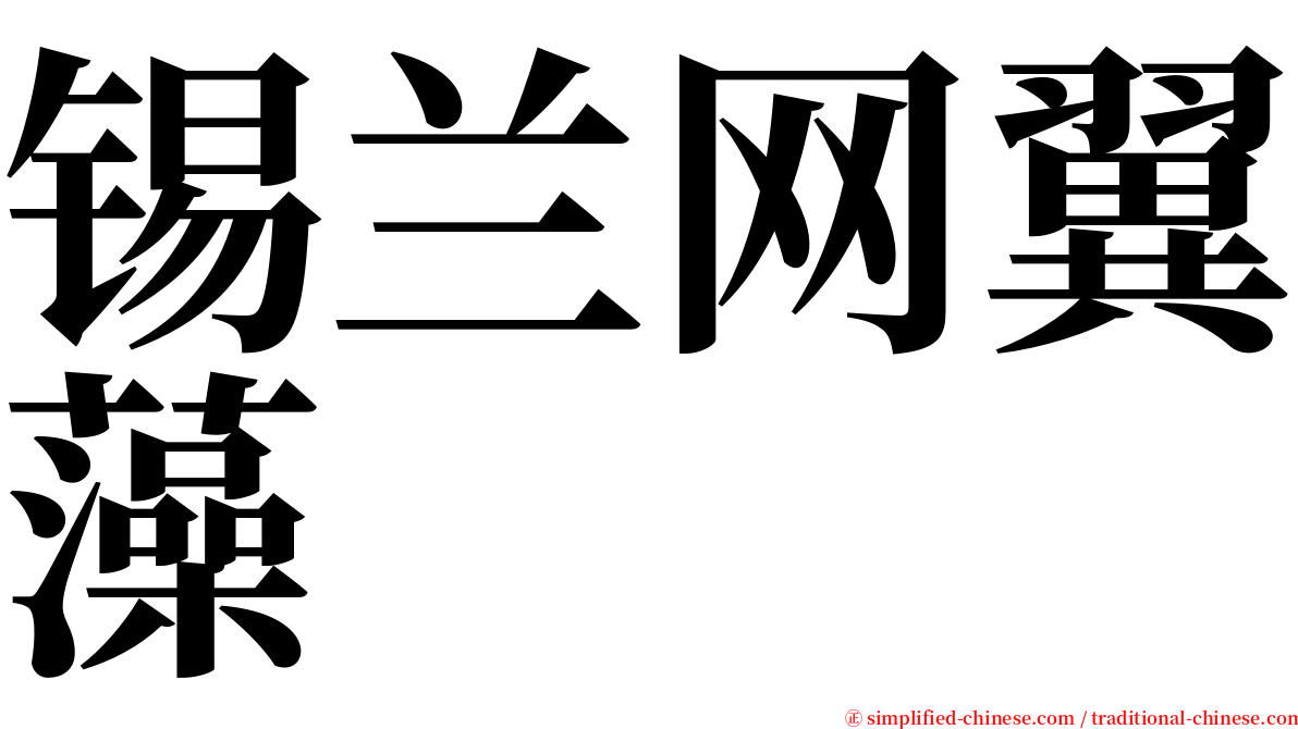 锡兰网翼藻 serif font