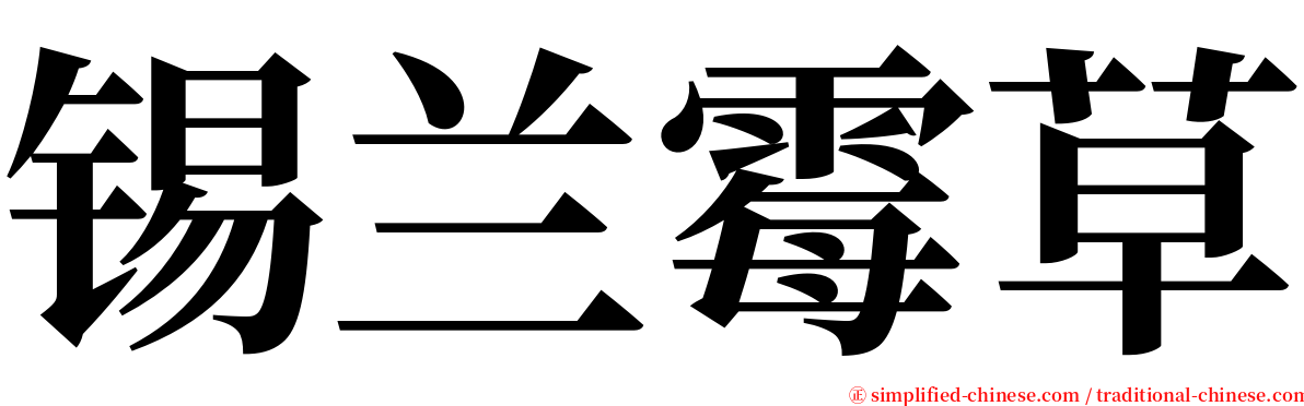 锡兰霉草 serif font