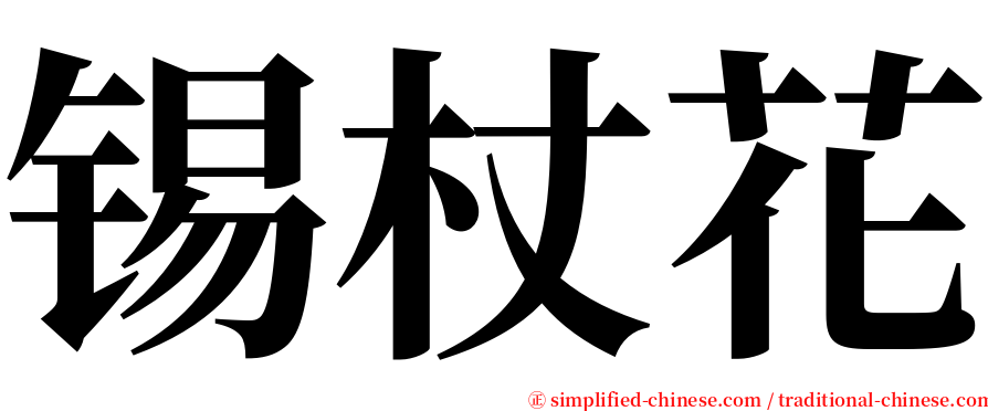 锡杖花 serif font