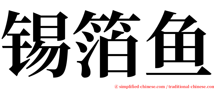 锡箔鱼 serif font