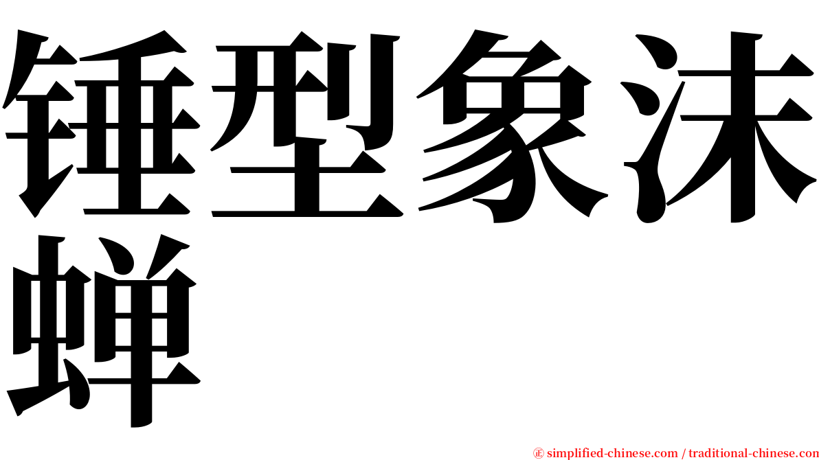 锤型象沫蝉 serif font