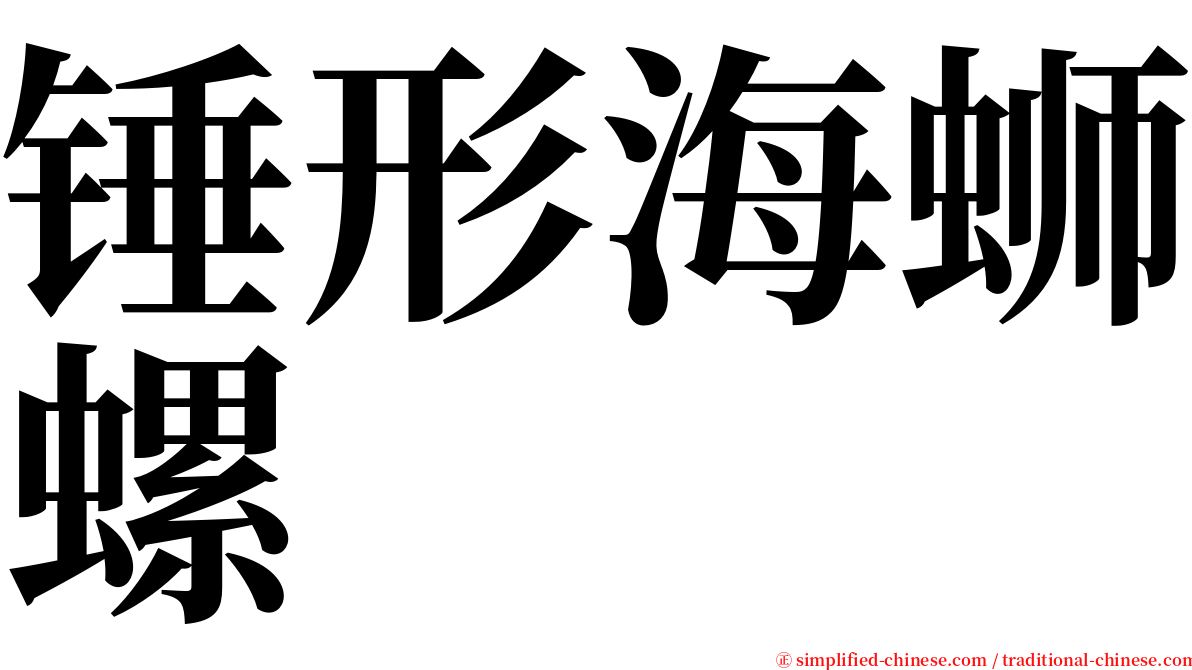 锤形海蛳螺 serif font