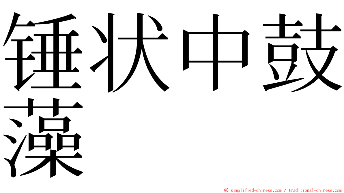 锤状中鼓藻 ming font