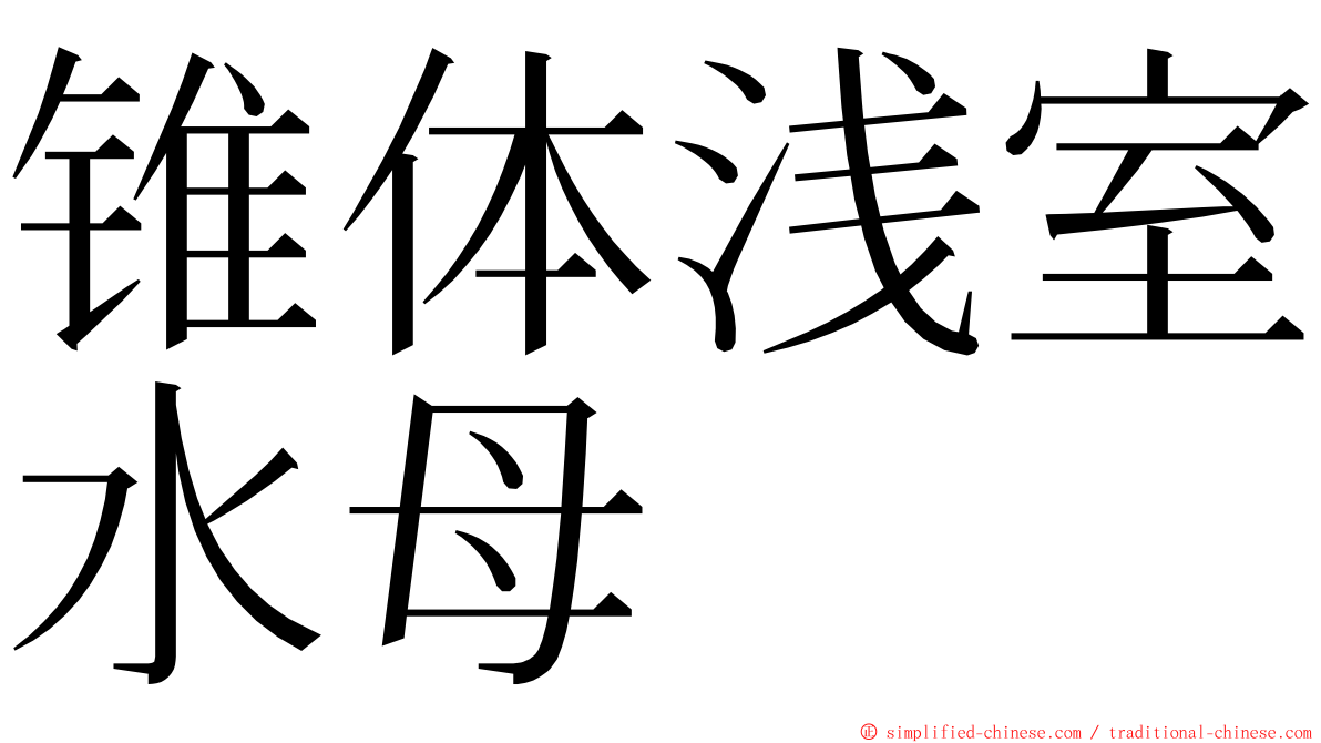 锥体浅室水母 ming font