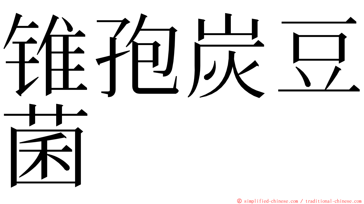 锥孢炭豆菌 ming font