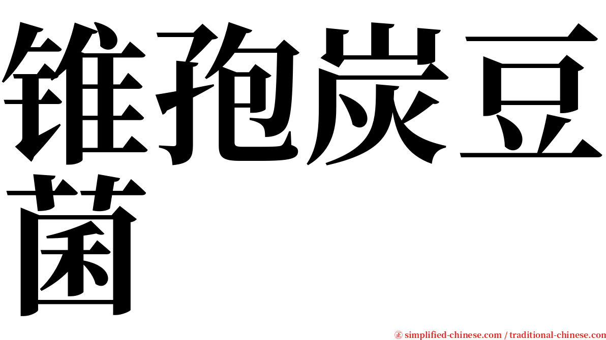 锥孢炭豆菌 serif font