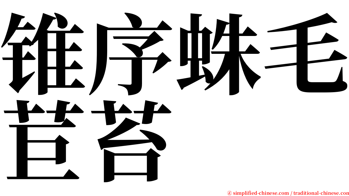 锥序蛛毛苣苔 serif font