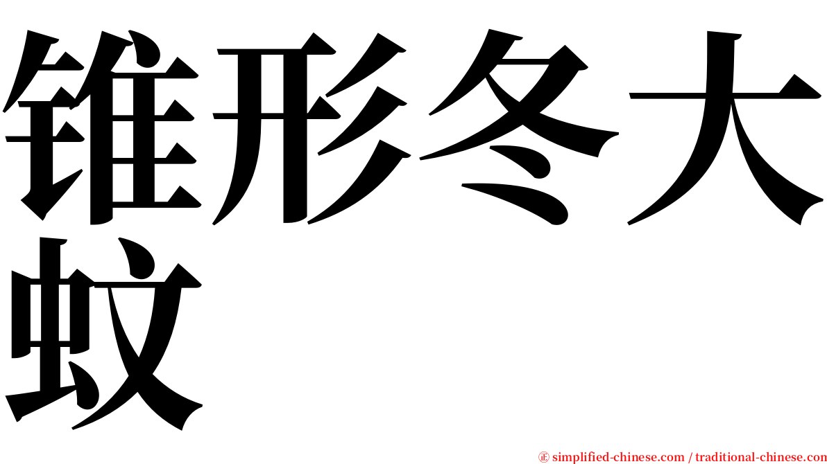 锥形冬大蚊 serif font