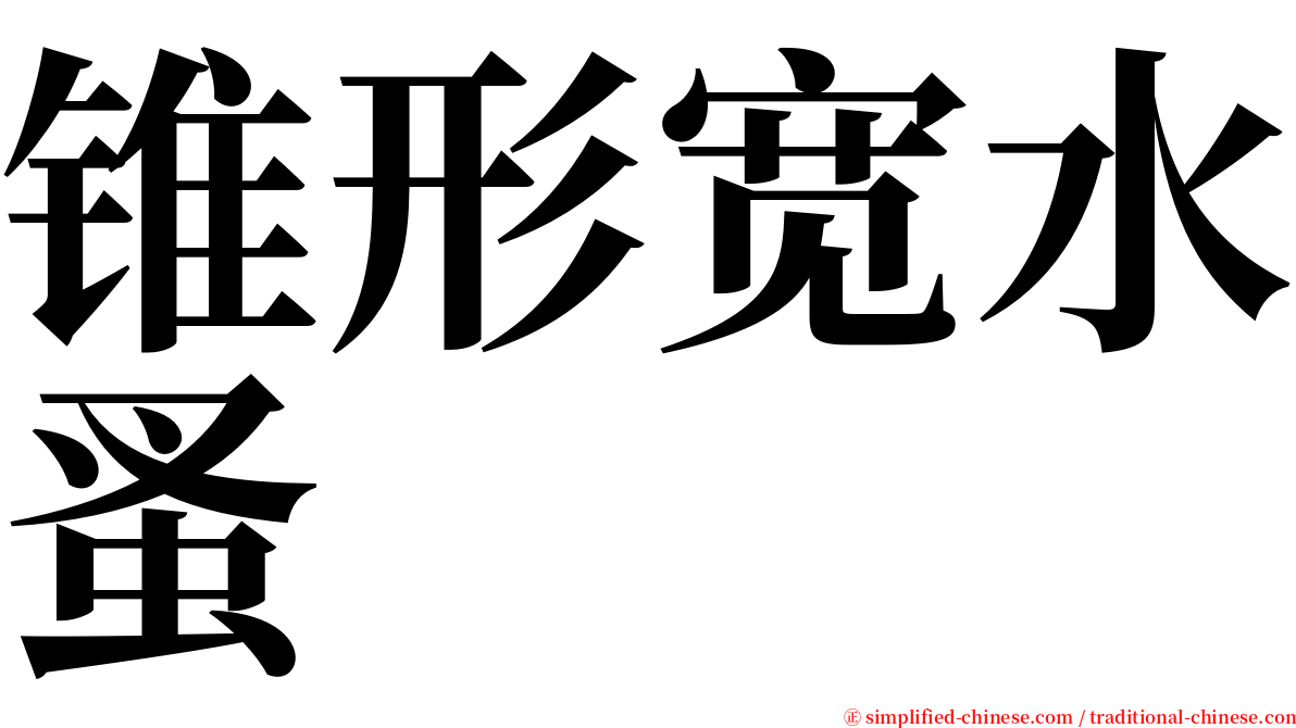 锥形宽水蚤 serif font