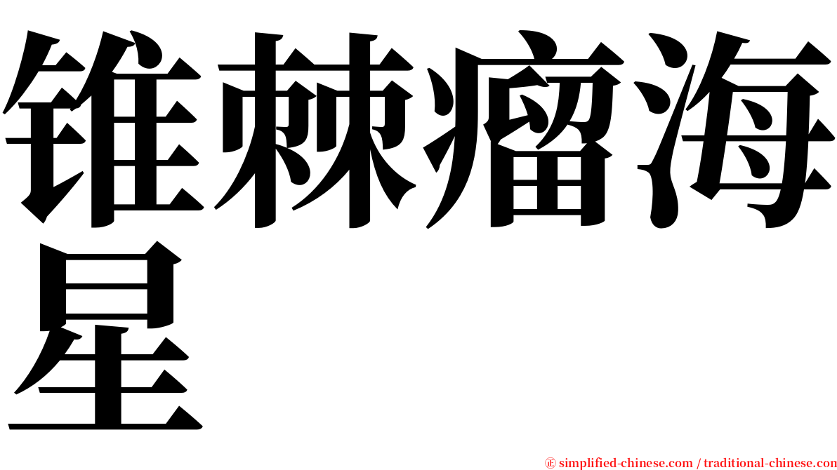 锥棘瘤海星 serif font