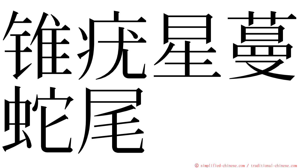 锥疣星蔓蛇尾 ming font