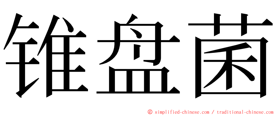 锥盘菌 ming font