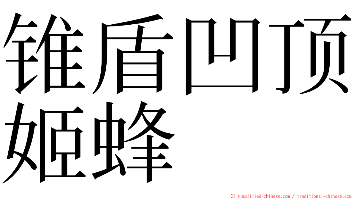 锥盾凹顶姬蜂 ming font