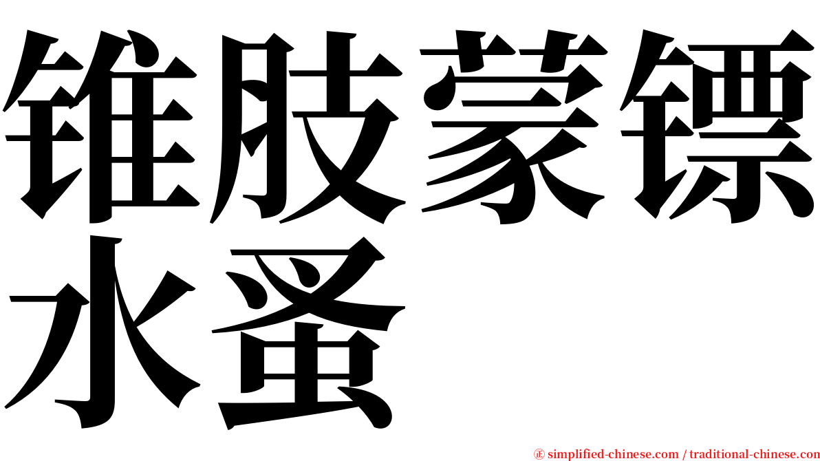 锥肢蒙镖水蚤 serif font