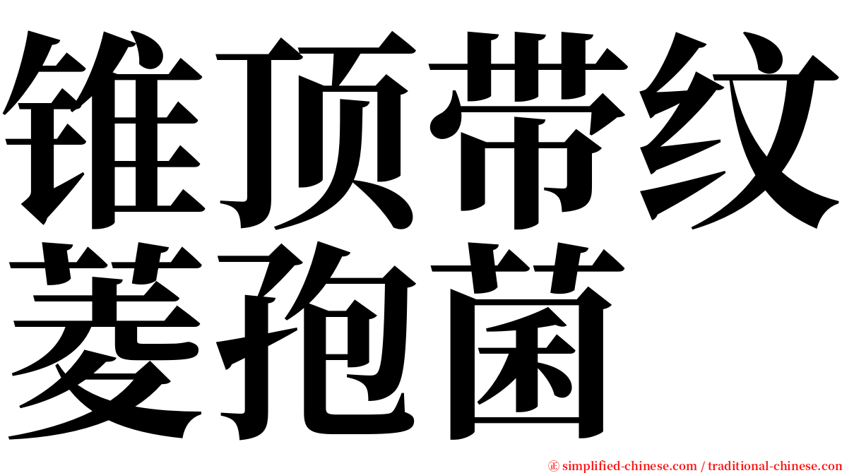 锥顶带纹菱孢菌 serif font