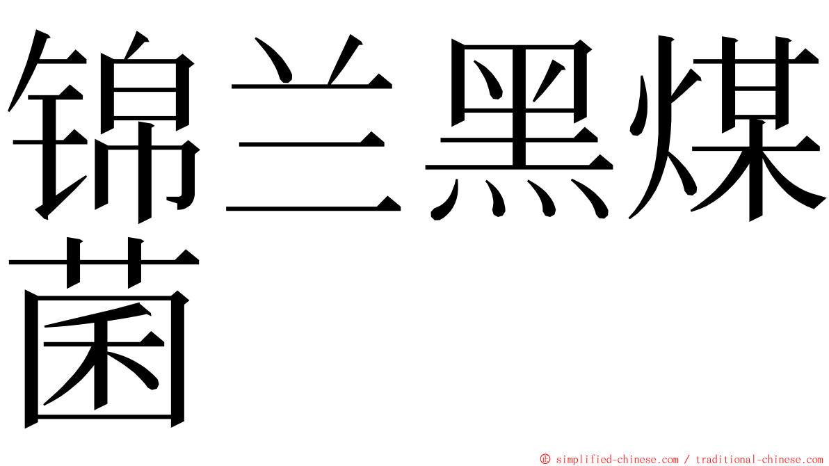 锦兰黑煤菌 ming font