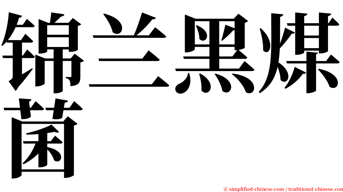 锦兰黑煤菌 serif font