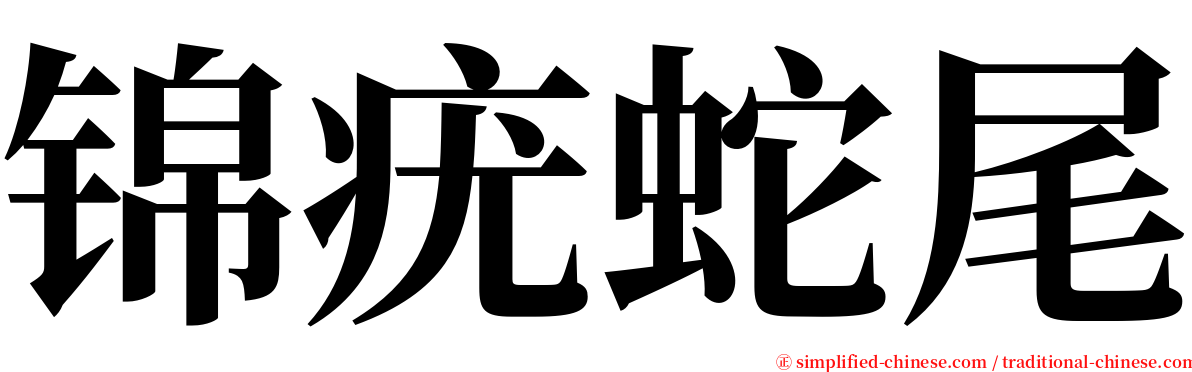 锦疣蛇尾 serif font