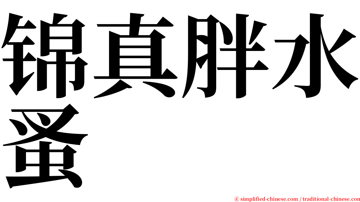 锦真胖水蚤 serif font