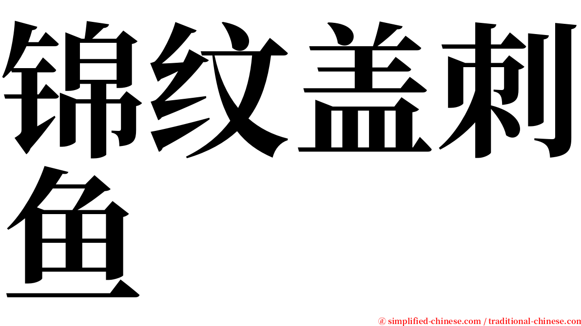 锦纹盖刺鱼 serif font