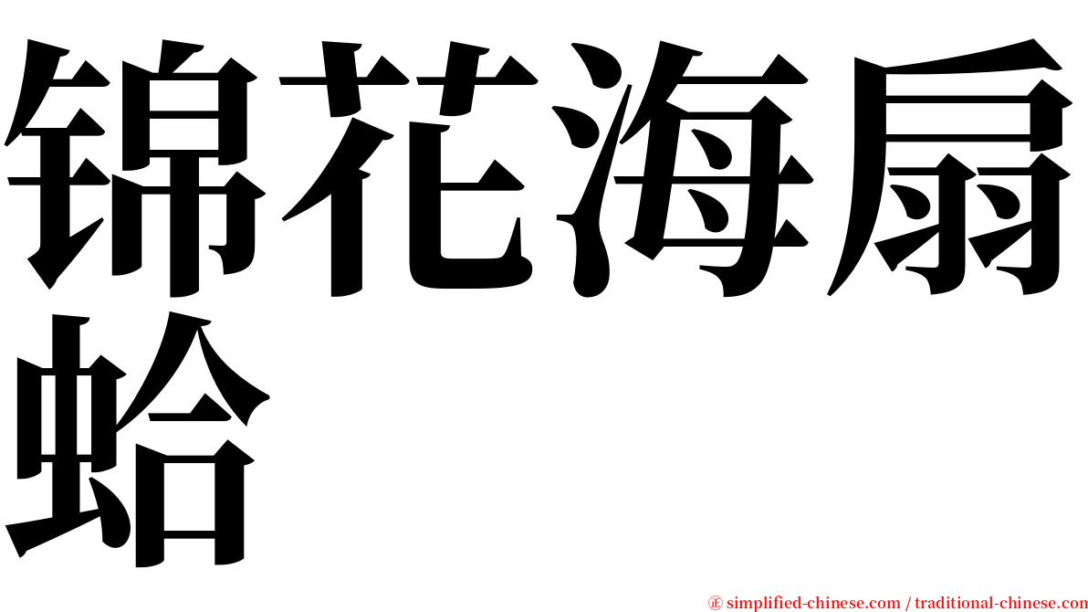 锦花海扇蛤 serif font