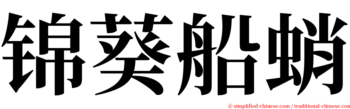 锦葵船蛸 serif font