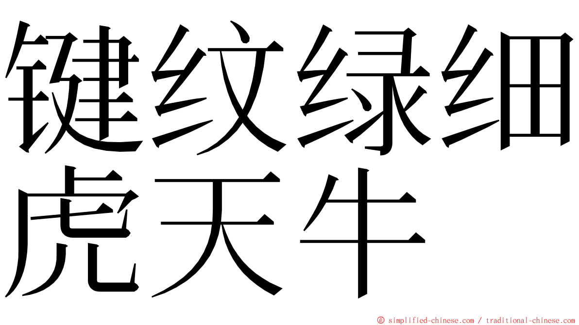 键纹绿细虎天牛 ming font