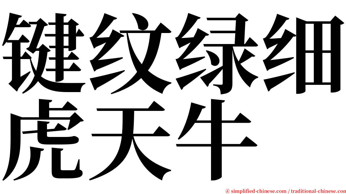 键纹绿细虎天牛 serif font