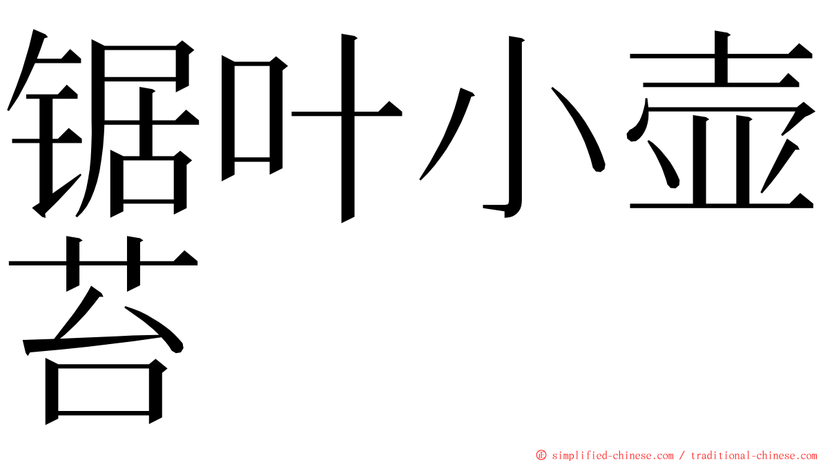 锯叶小壶苔 ming font