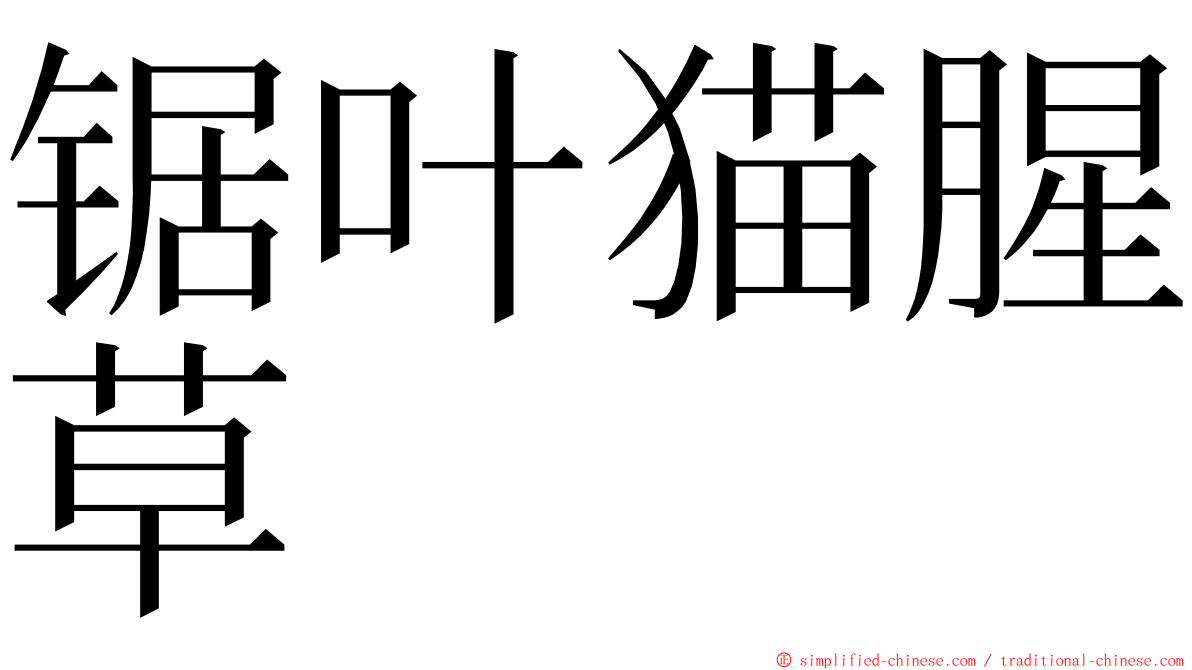 锯叶猫腥草 ming font