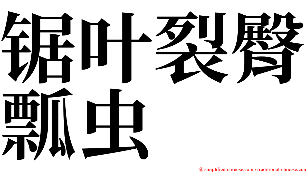 锯叶裂臀瓢虫 serif font