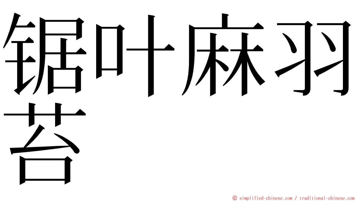 锯叶麻羽苔 ming font