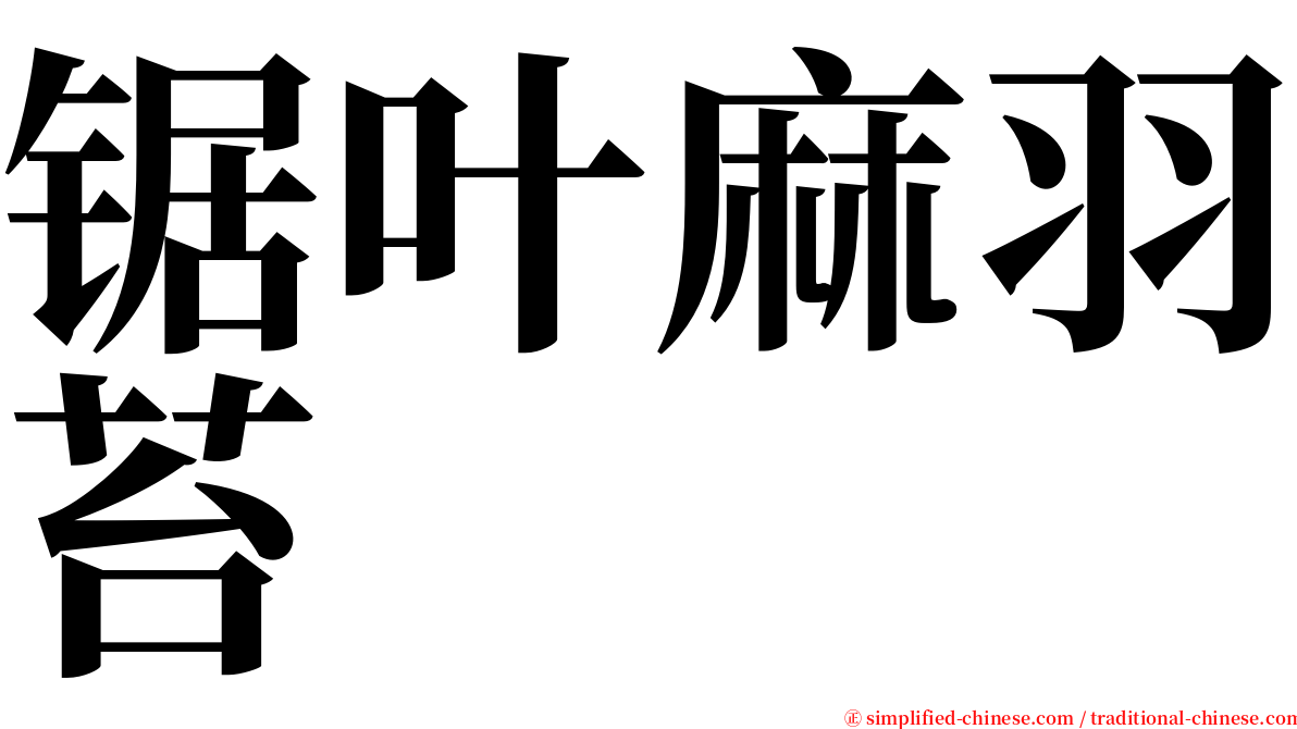 锯叶麻羽苔 serif font