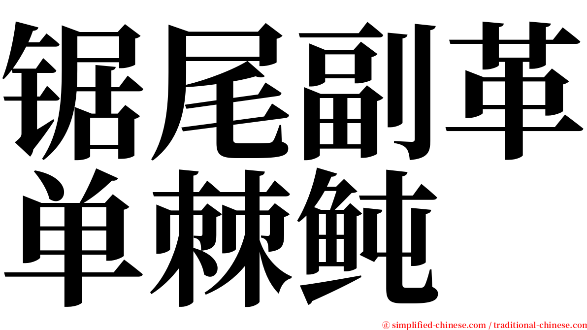 锯尾副革单棘鲀 serif font