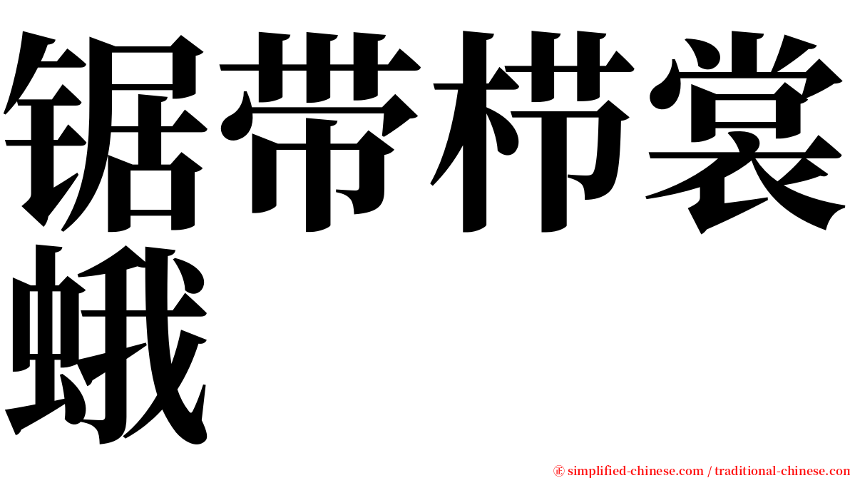 锯带栉裳蛾 serif font